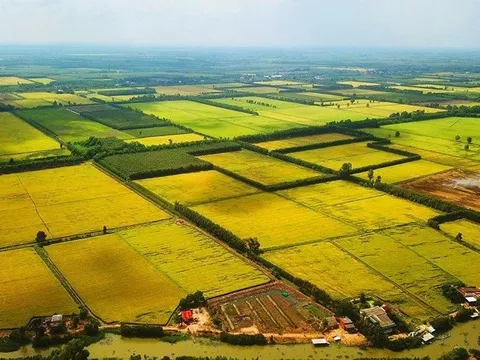 Quy định mới về các đối tượng được miễn thuế sử dụng đất nông nghiệp