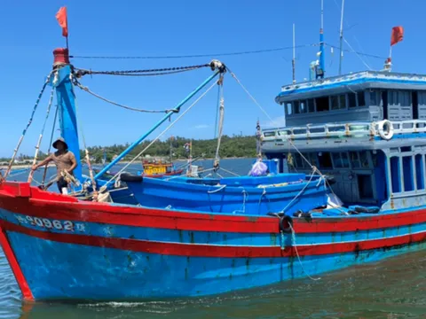 Sửa đổi một số quy định về xử phạt vi phạm hành chính trong lĩnh vực thủy sản