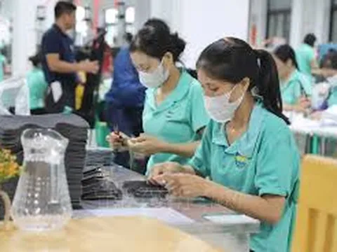 Quy định mới về hồ sơ, trình tự, thủ tục đăng ký lao động