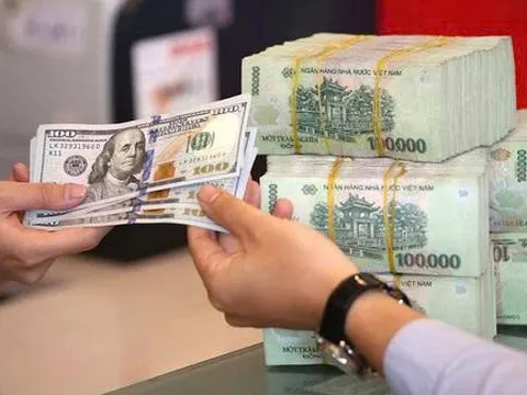 Chi tiết các mức phạt vi phạm hành chính trong hoạt động ngoại hối