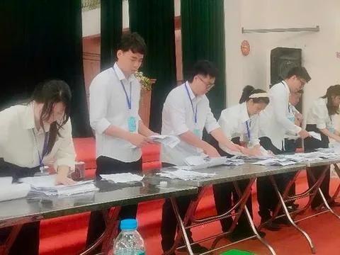 Người trúng đấu giá đất không nộp tiền bị xử lý như thế nào?