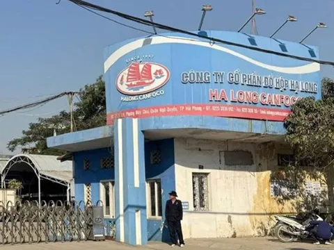 Vụ phát hiện 120 tấn thịt lợn nhiễm bệnh: Người tiêu dùng cần làm gì?