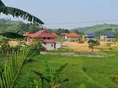 Đất sử dụng sai mục đích, đã kê khai đăng ký, có được chuyển nhượng không?