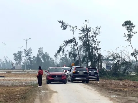 Quay cuồng theo cơn sốt đất ảo