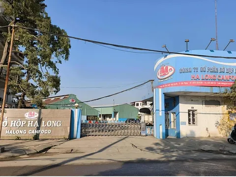 Tổng giám đốc Công ty Đồ hộp Hạ Long bị khởi tố về tội danh gì?