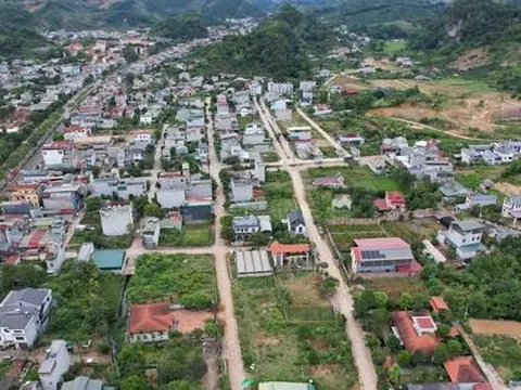 Đất khai hoang, không giấy tờ: Khi nào được cấp sổ đỏ, khi nào bị xử phạt?