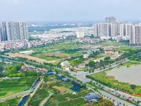 Dự án đầu tư kinh doanh nào phải tổ chức đấu thầu lựa chọn nhà đầu tư?