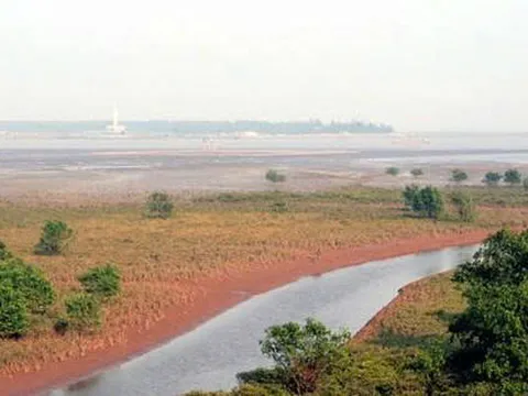 Trồng trọt lâu năm trên đất bãi bồi, khi thu hồi có được bồi thường?