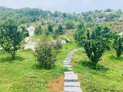 Nợ tiền sử dụng đất từ 20 năm trước, có phải xác định lại tiền sử dụng đất theo giá hiện hành?