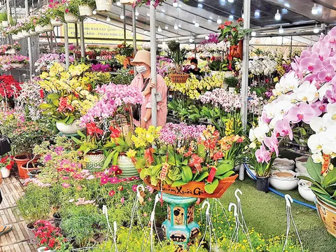 Những người bán hoa tết