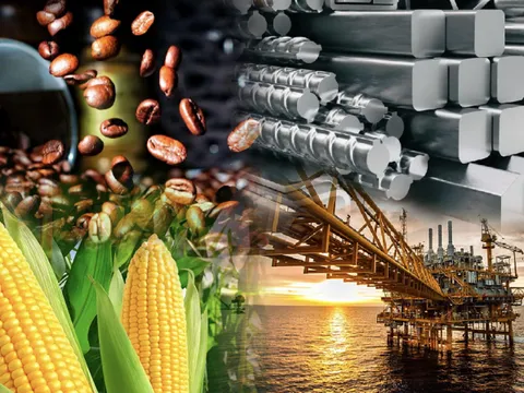 Đề xuất xây dựng Luật Giao dịch hàng hóa phái sinh