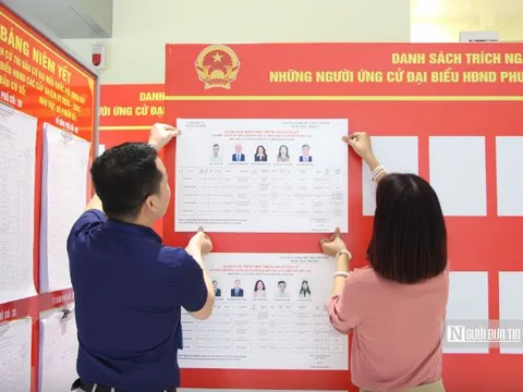 Trường hợp nào cử tri được nhờ người khác viết hộ phiếu, bỏ hộ phiếu bầu cử?