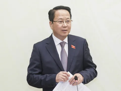 Chưa phát hiện ứng cử viên ĐBQH vi phạm phải tạm dừng ứng cử như đơn khiếu nại tố cáo