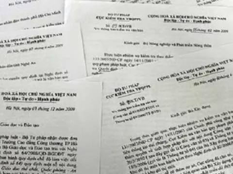 Tiếp tục áp dụng một số văn bản hướng dẫn thi hành một số luật