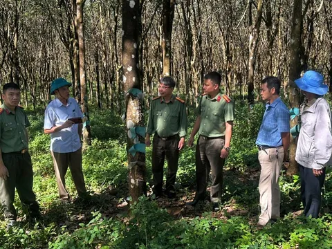 Cần thiết xây dựng Nghị định về kết hợp an ninh với kinh tế - xã hội và kinh tế - xã hội với an ninh