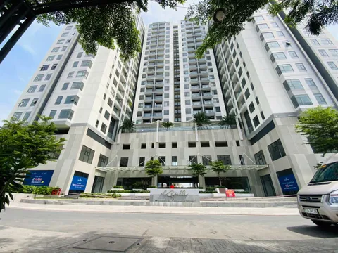 Cổ phiếu của Quốc Cường Gia Lai không đủ điều kiện ký quỹ, bị nhắc nhở chưa giải trình chênh lệch lợi nhuận