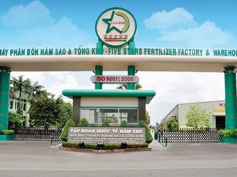 Phân bón Năm Sao bị cưỡng chế ngừng sử dựng hóa đơn vì nợ thuế