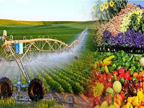 Sản xuất trồng trọt theo hướng xanh, hữu cơ, tuần hoàn, đa giá trị