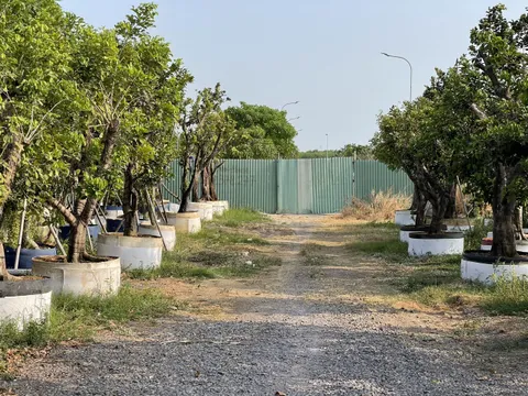 Đồng Nai: Dự án The Centre House được chấp thuận chủ trương gần 20 năm nhưng chưa thể về đích