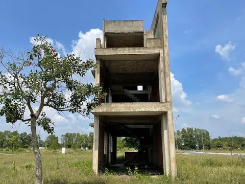 Giám đốc Công ty Phúc Khang Sen Việt L.A bị hoãn xuất cảnh do nợ thuế