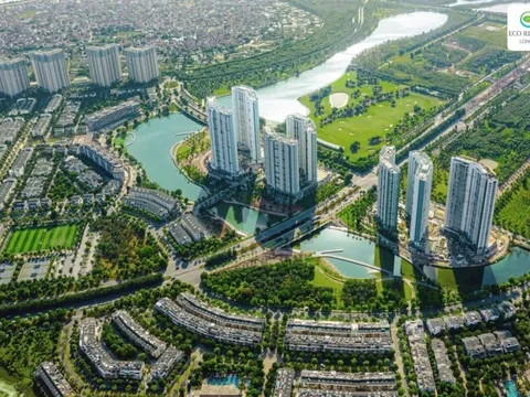 Thị trường bất động sản Long An sôi động với nhiều đại dự án được triển khai