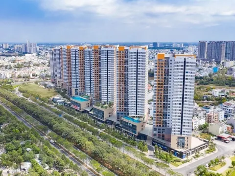 Hàng loạt sai phạm liên quan đến Tập đoàn Novaland