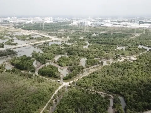 UBND thành phố không chịu thi hành án, chế tài nào xử lý?