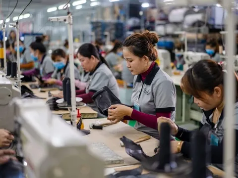 Doanh nghiệp xuất khẩu cần "bám sát" thị trường nội địa để vượt khó