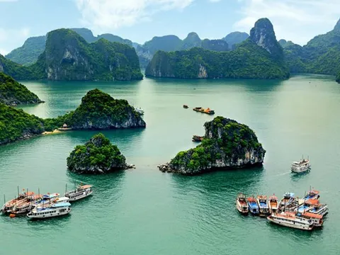 Quần thể Vịnh Hạ Long - quần đảo Cát Bà được vinh danh Di sản thiên nhiên thế giới