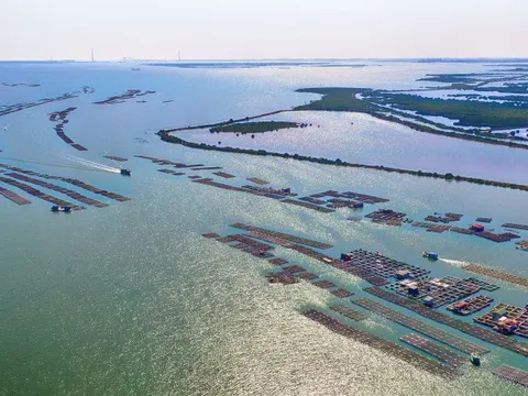 Ninh Thuận: Dự kiến thành lập Khu kinh tế ven biển phía Nam tỉnh