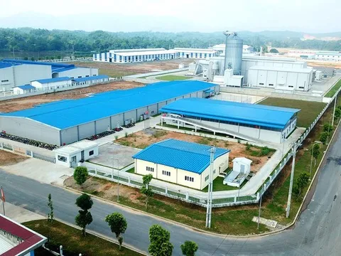 Rà soát pháp lý đất đai của doanh nghiệp trong Khu công nghiệp Đà Nẵng