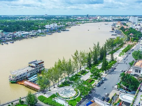 TP.Cần Thơ ban hành Kế hoạch trồng cây phân tán năm 2024