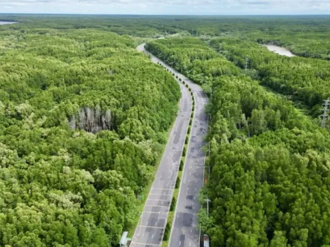 Cần Giờ phấn đấu đạt Net zero vào năm 2035