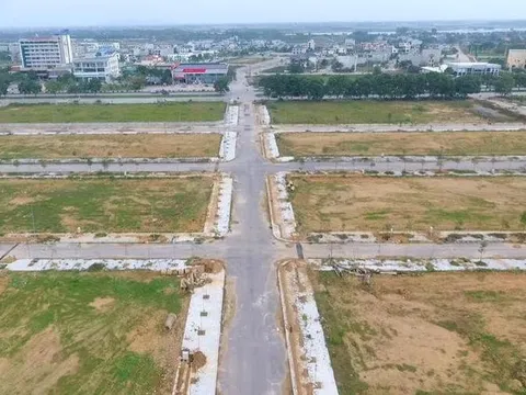 Đồng Nai: Tổ chức đấu giá 49 khu đất