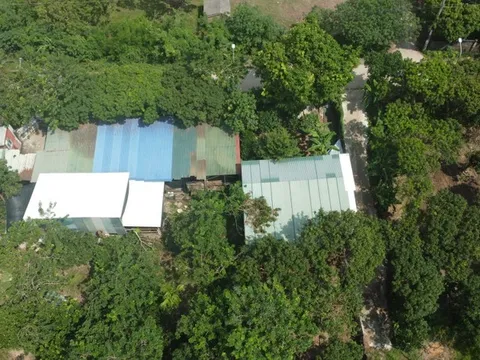 “Lò” giết mổ gia súc không phép, ô nhiễm ở Hà Nội