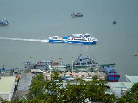TP.HCM giao Vingroup nghiên cứu đường vượt biển từ Cần Giờ đi Vũng Tàu