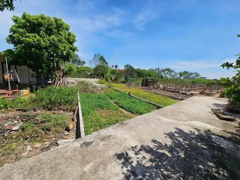 Giảm 70% thuế chuyển đổi đất vườn lên đất ở: Đúng nhưng chưa đủ