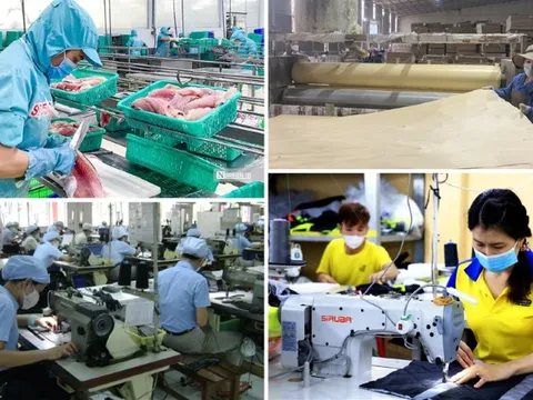 Chính sách ưu đãi thuế phát triển kinh tế tư nhân