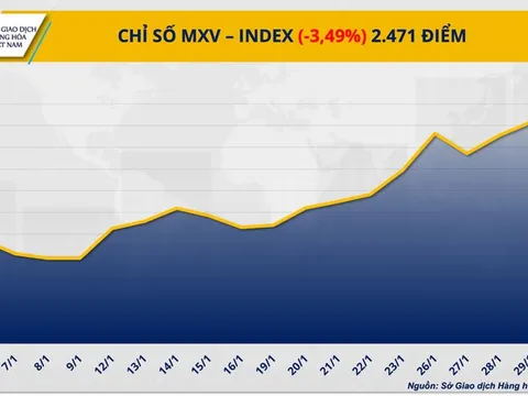 Thị trường hàng hóa ‘đỏ lửa”, MXV-Index lao xuống vùng 2.400 điểm