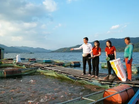 Agribank phát huy vai trò nòng cốt của kinh tế Nhà nước, cụ thể hóa Nghị quyết 79