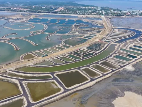 Bức tranh kinh doanh của DN nhà ở năm 2025: Thăng hoa và kỷ lục