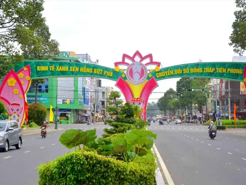 Thêm 3 công ty có dự án bất động sản vi phạm pháp luật đất đai thuộc diện thu hồi đất tại Đồng Tháp