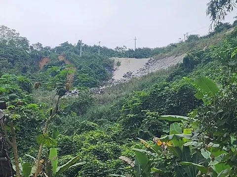 Công ty Chân Thiện Mỹ ở Yên Bái bị xử phạt hơn 1 tỉ đồng