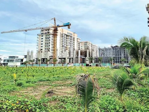 Chủ The Maris Vũng Tàu: Lỗ liên tục, nợ chồng chất vẫn huy động 1.735 tỷ đồng từ trái phiếu