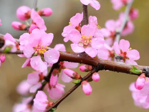 Thị trường chứng khoán Việt Nam thường diễn biến ra sao trong tháng 2?