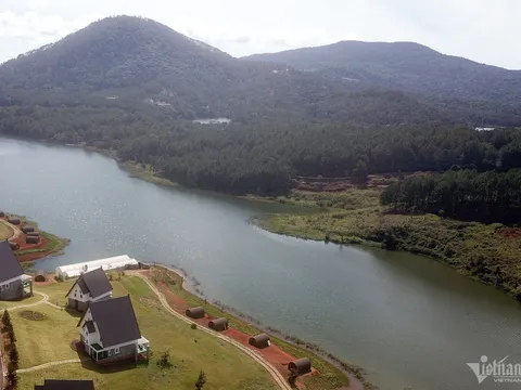 Xin chuyển 5,3ha rừng thông làm khu nghỉ dưỡng: Lâm Đồng nói gì?